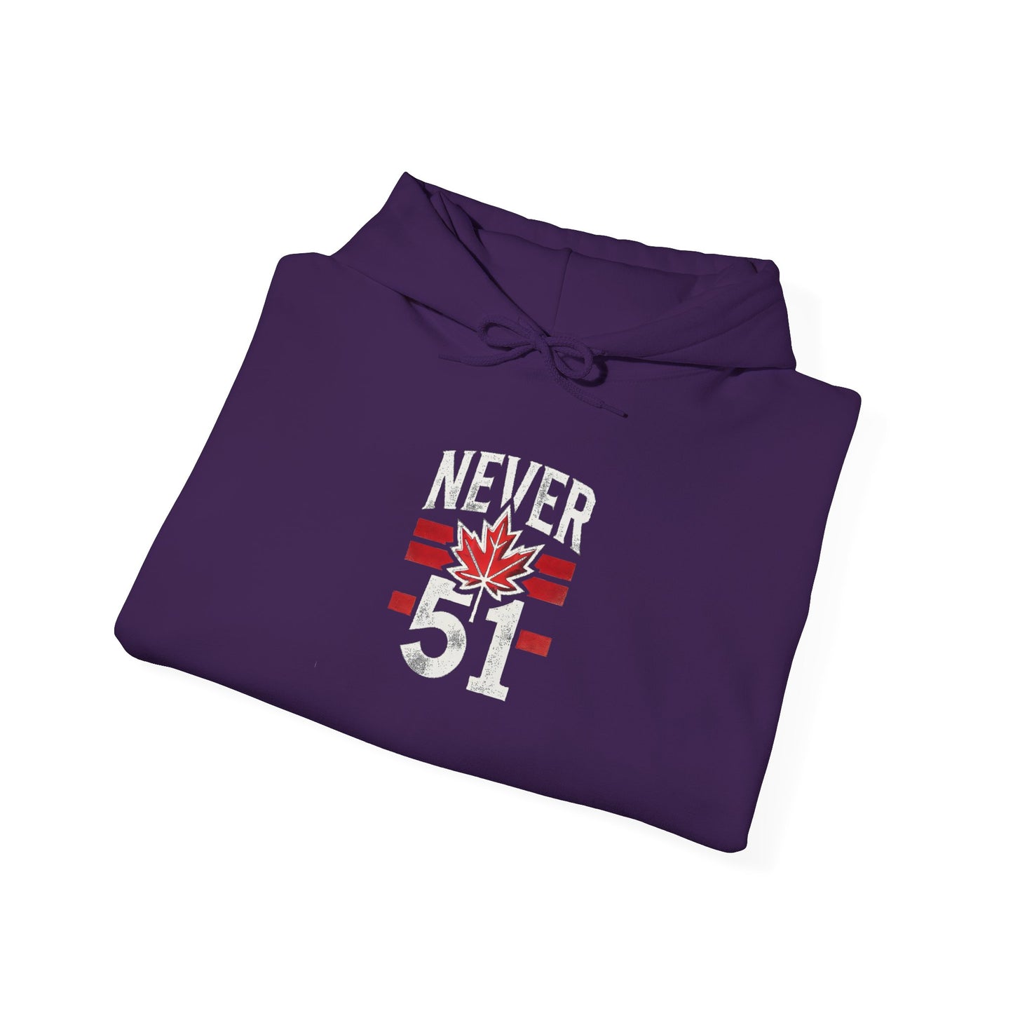 Never 51 Heavy Blend™ Hooded Sweatshirt