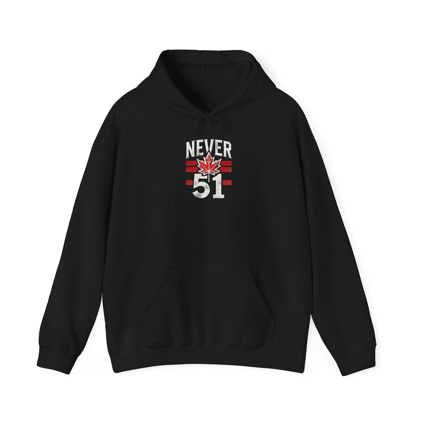 Never 51 Unisex Heavy Blend™ Hooded Sweatshirt