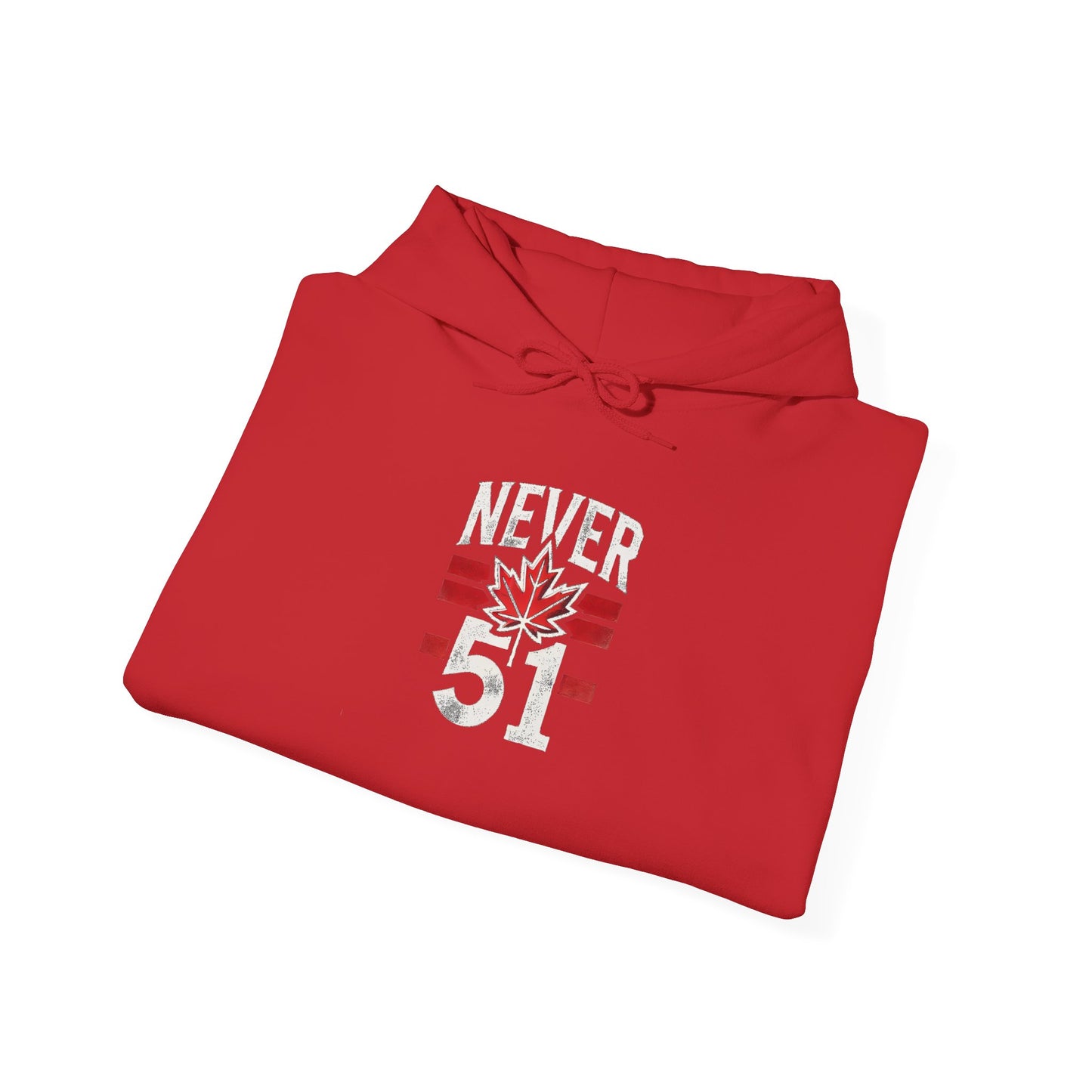 Never 51 Unisex Heavy Blend™ Hooded Sweatshirt