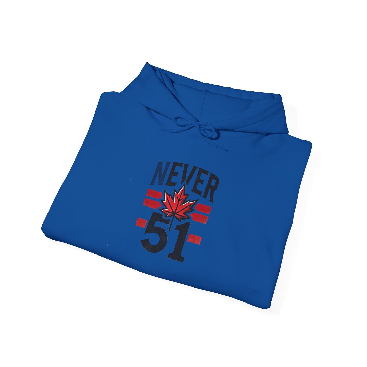 Never 51 Unisex Heavy Blend™ Hooded Sweatshirt